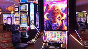 901bet2 901bet2